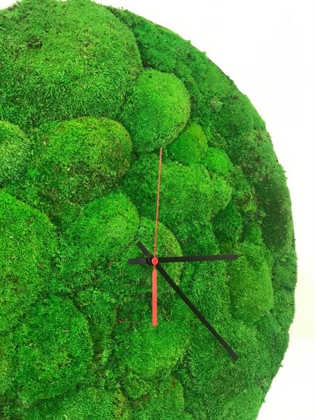 Laikrodis - stabilizuotų samanų paveikslas 50cm