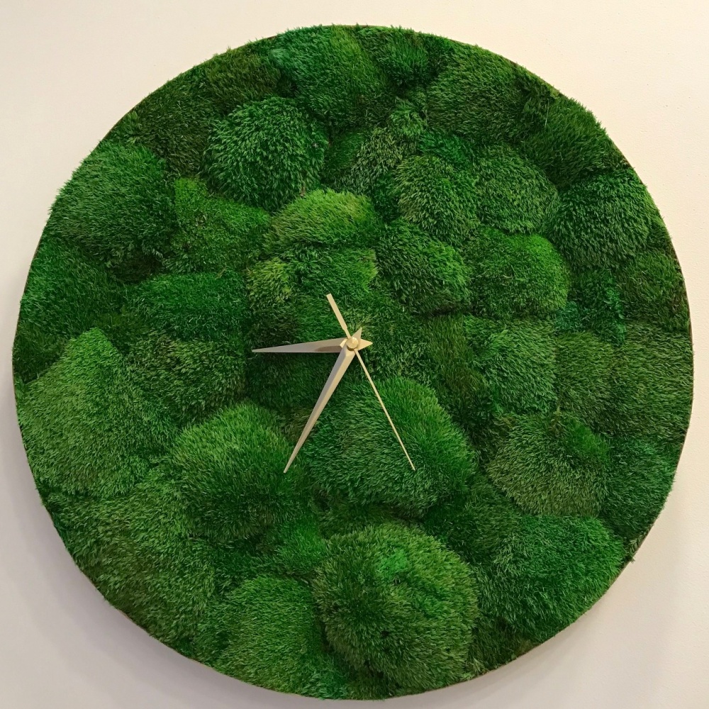 30 cm laikrodis - stabilizuotų samanų paveikslas 